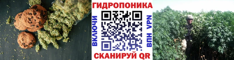 Купить где  Северская  Печенье с ТГК марихуана 