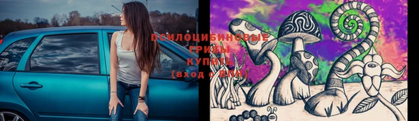 крисы Горно-Алтайск