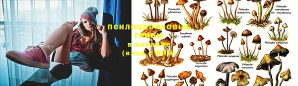 не бодяженный Горняк