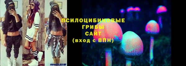 крисы Горно-Алтайск