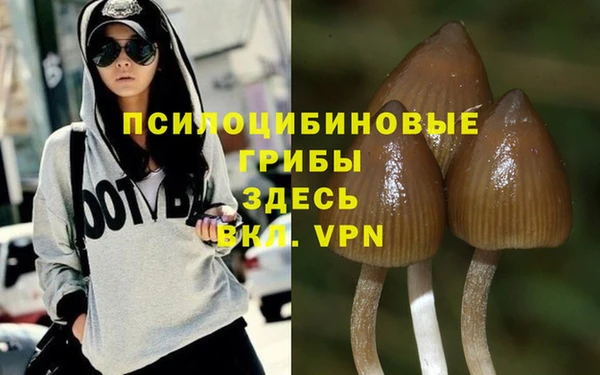 каннабис Горнозаводск