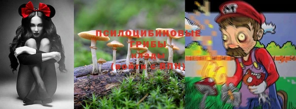 каннабис Горнозаводск