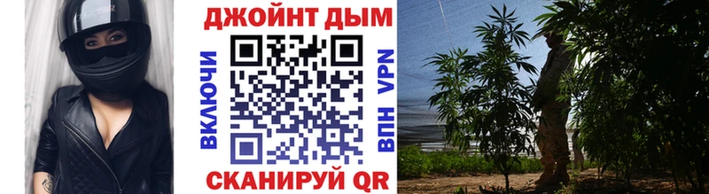 Марихуана OG Kush  Купить закладки  Северская 